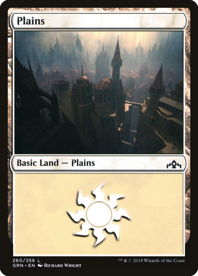 Plains (260) [Guilds of Ravnica] | Total Play