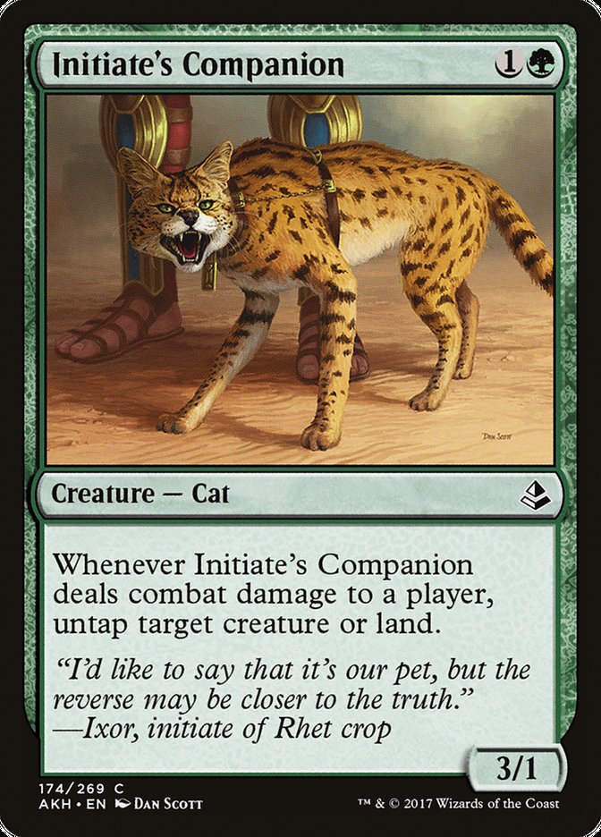 Initiate's Companion [Amonkhet] | Total Play