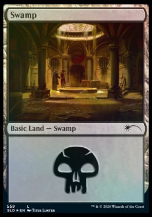 Swamp (Rogues) (559) [Secret Lair Drop Promos] | Total Play