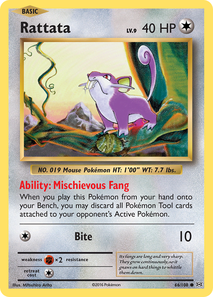 Rattata (66/108) [XY: Evolutions] | Total Play