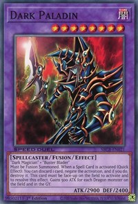 Dark Paladin [SBCB-EN021] Common | Total Play