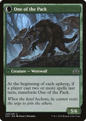 Solitary Hunter // One of the Pack [Shadows over Innistrad] | Total Play