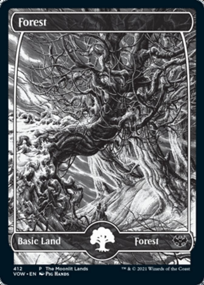 Forest (The Moonlit Lands) (Foil Etched) [Innistrad: Crimson Vow Promos] | Total Play