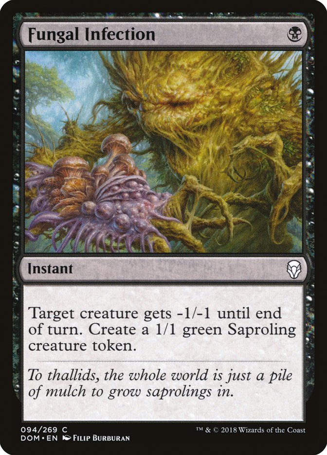 Fungal Infection [Dominaria] | Total Play