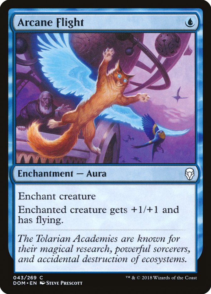 Arcane Flight [Dominaria] | Total Play