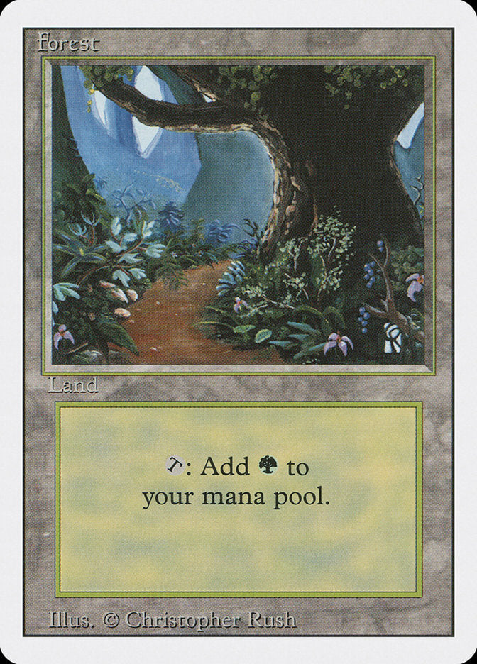 Forest (Flower Path) [Revised Edition] | Total Play