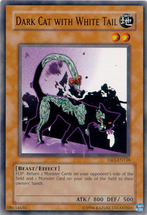 Dark Cat with White Tail [DR1-EN138] Common | Total Play