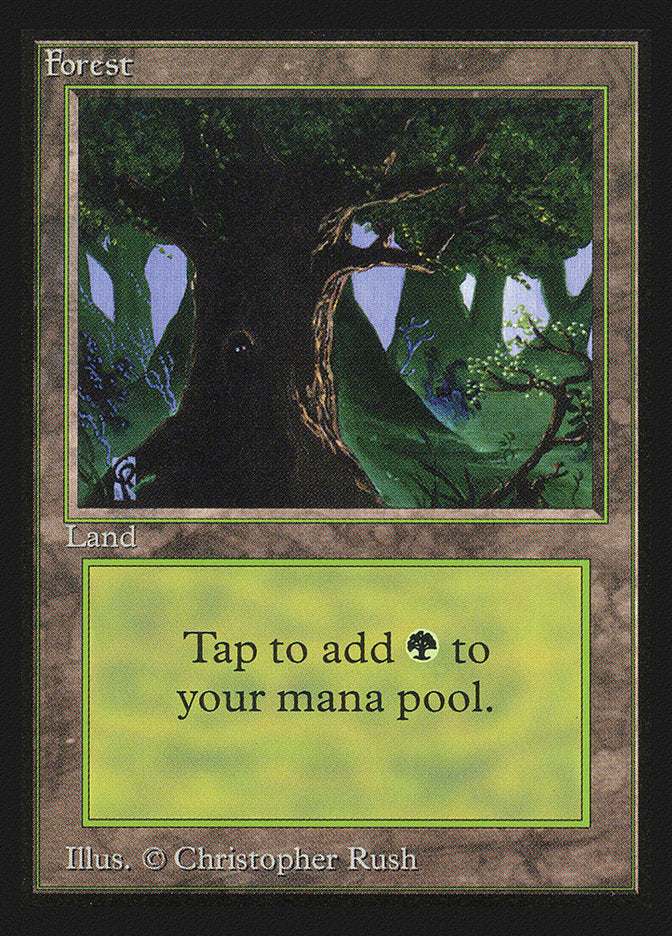 Forest (Eyes in Tree) [International Collectors' Edition] | Total Play