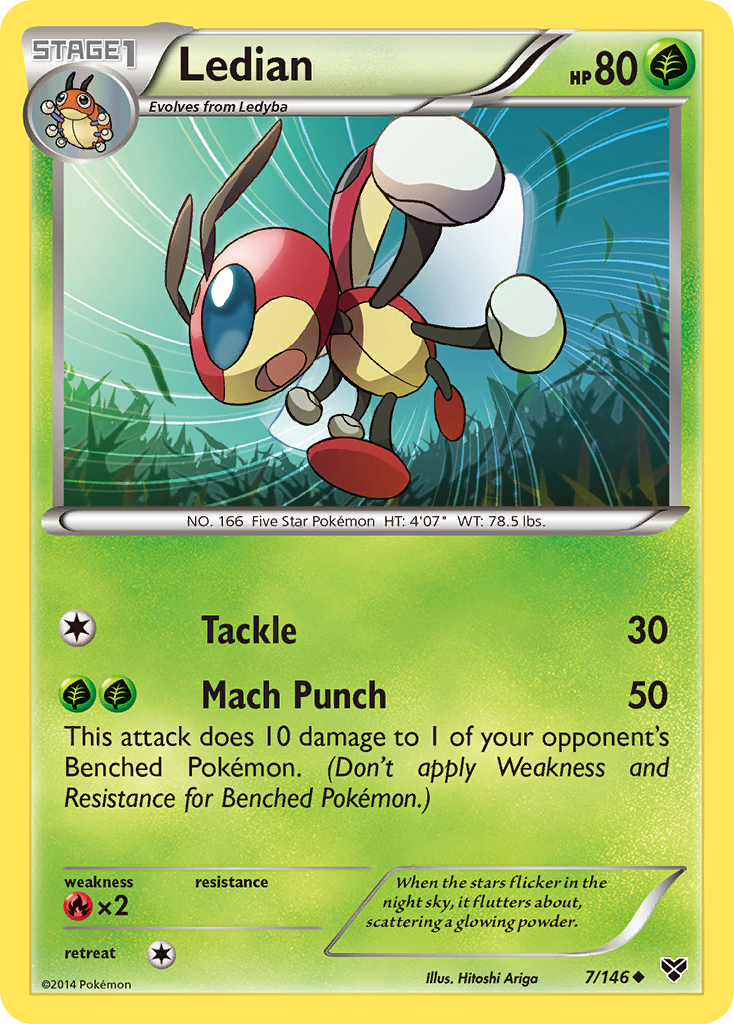 Ledian (7/146) [XY: Base Set] | Total Play