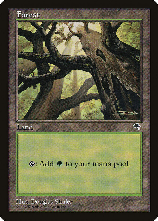Forest (Looking from Below) [Tempest] | Total Play