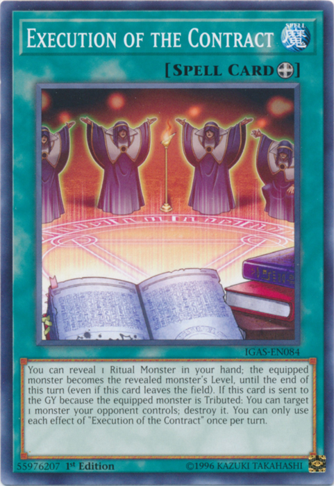 Execution of the Contract [IGAS-EN084] Common | Total Play