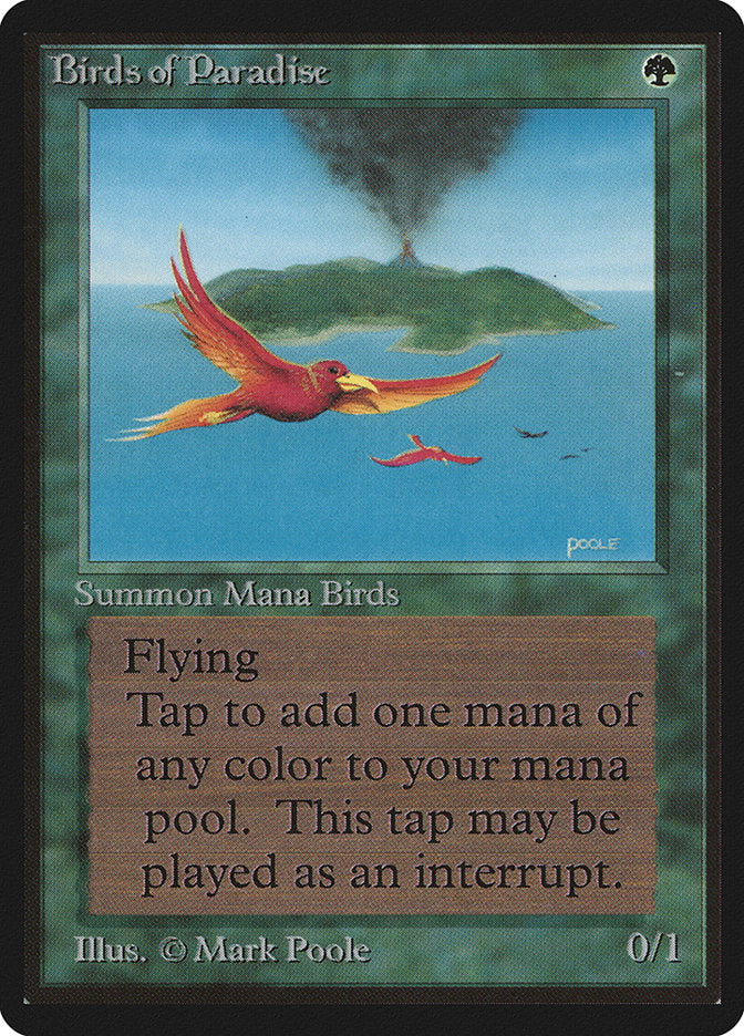 Birds of Paradise [Beta Edition] | Total Play