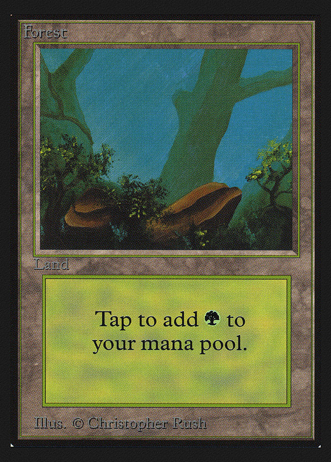 Forest (Two Stones) [Collectors' Edition] | Total Play