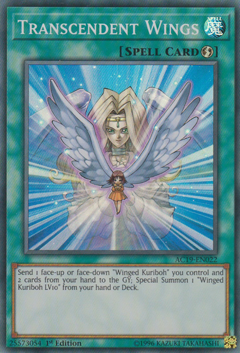 Transcendent Wings [AC19-EN022] Super Rare | Total Play