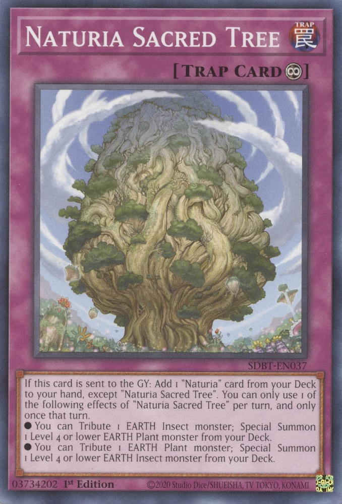 Naturia Sacred Tree [SDBT-EN037] Common | Total Play