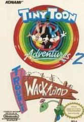 Tiny Toon Adventures 2 Trouble in Wackyland - NES | Total Play
