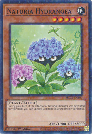 Naturia Hydrangea (Duel Terminal) [HAC1-EN107] Common | Total Play