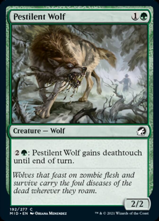 Pestilent Wolf [Innistrad: Midnight Hunt] | Total Play