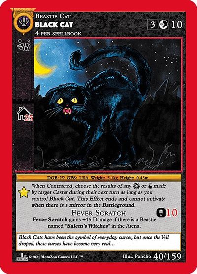 Black Cat [Cryptid Nation: First Edition] | Total Play