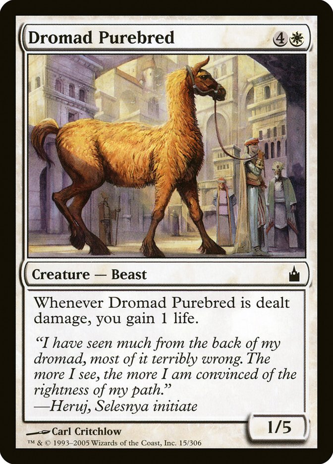 Dromad Purebred [Ravnica: City of Guilds] | Total Play