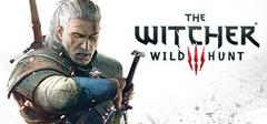 Witcher 3: Wild Hunt - PC Games | Total Play