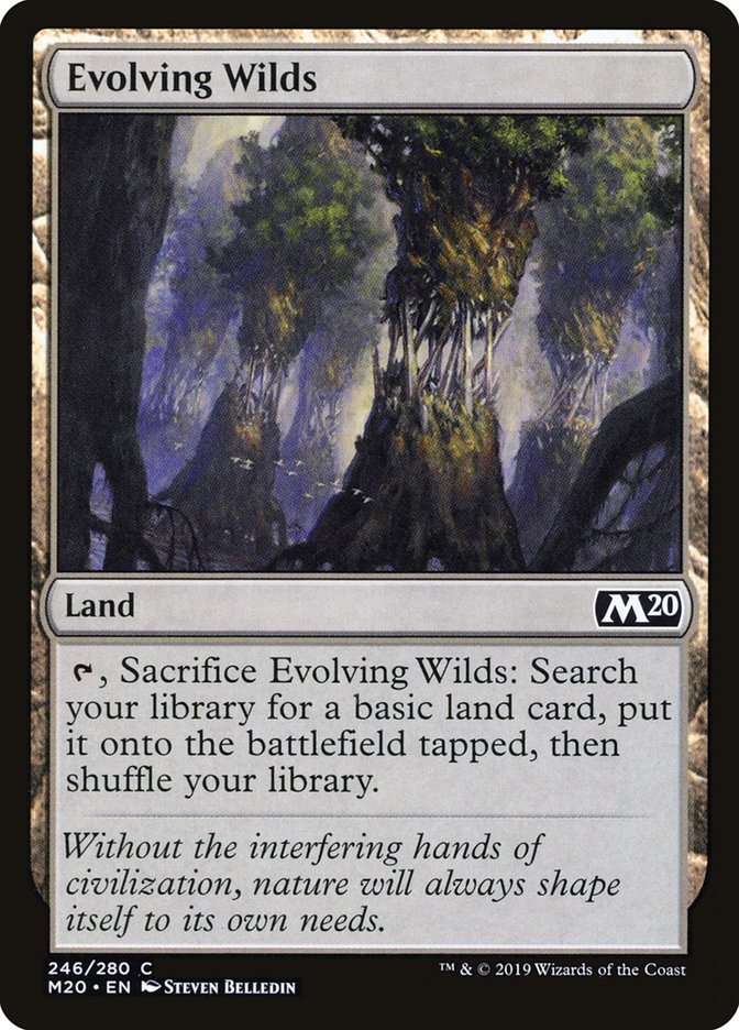 Evolving Wilds [Core Set 2020] | Total Play