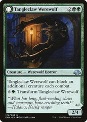 Tangleclaw Werewolf // Fibrous Entangler [Eldritch Moon] | Total Play