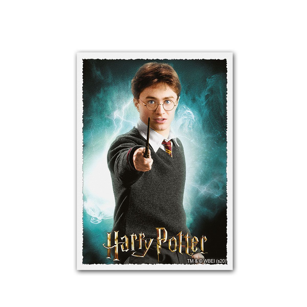 Dragon Shield: Standard 100ct Art Sleeves - Wizarding World (Harry Potter) | Total Play