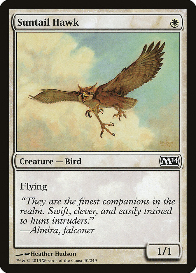 Suntail Hawk [Magic 2014] | Total Play
