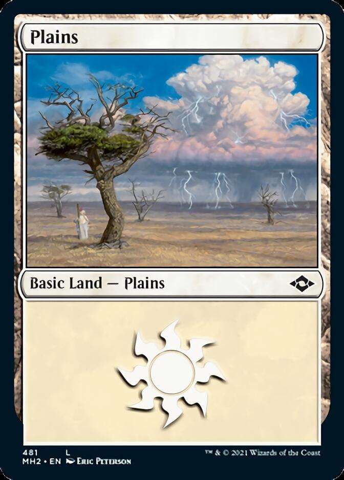 Plains (481) (Foil Etched) [Modern Horizons 2] | Total Play