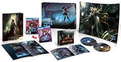 Stranger of Sword City [Limited Edition] - Playstation Vita | Total Play