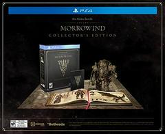 Elder Scrolls Online: Morrowind [Collector's Edition] - Playstation 4 | Total Play