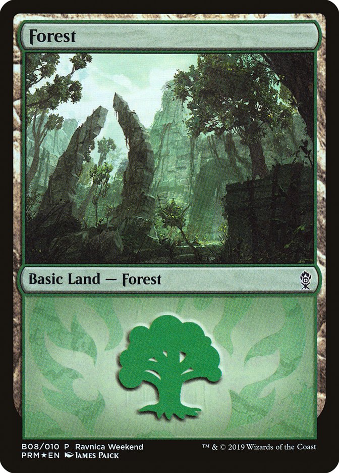 Forest (B08) [Ravnica Allegiance Guild Kit] | Total Play