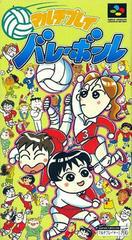 Multi Play Volleyball - Super Famicom | Total Play