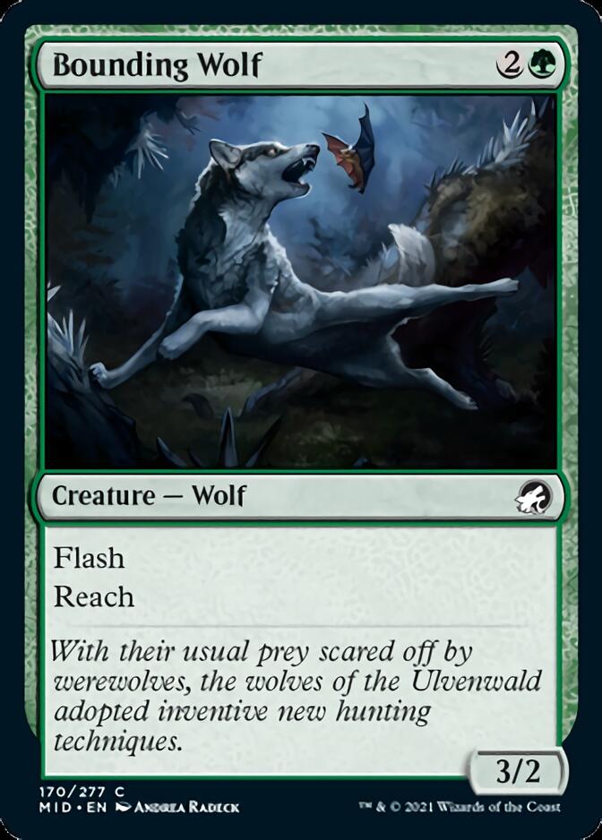 Bounding Wolf [Innistrad: Midnight Hunt] | Total Play