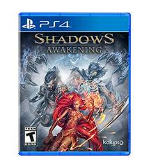 Shadows Awakening - Playstation 4 | Total Play