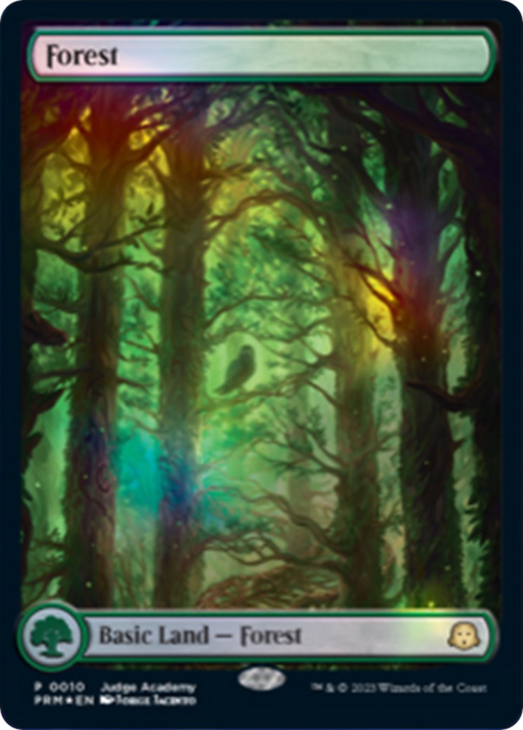 Forest [Judge Gift Cards 2023] | Total Play