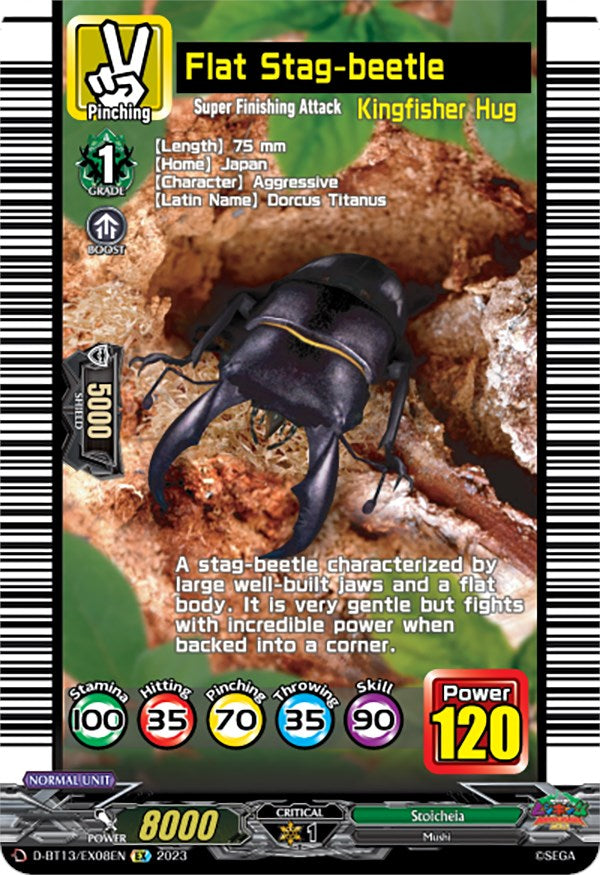 Flat Stag-beetle (D-BT13/EX08EN) [Flight of Chakrabarthi] | Total Play