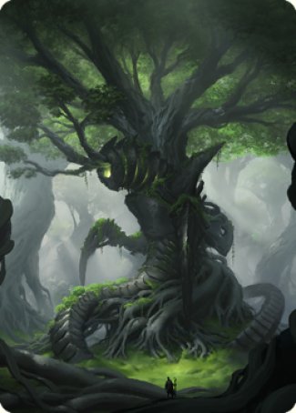 Forest Art Card [The Brothers' War Art Series] | Total Play