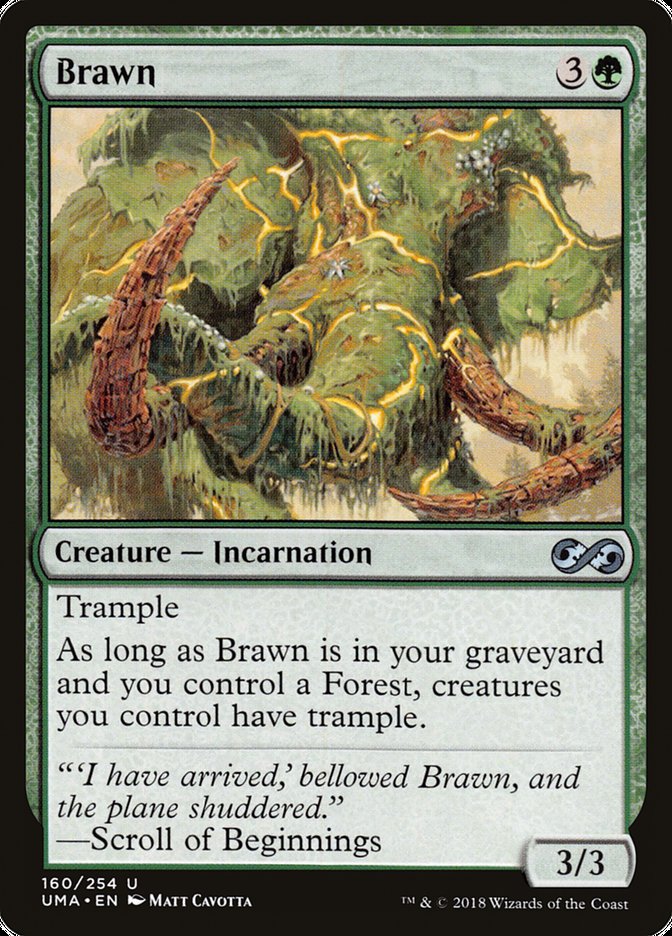 Brawn [Ultimate Masters] | Total Play