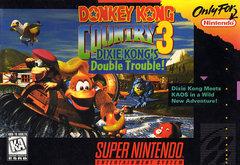 Donkey Kong Country 3 - Super Nintendo | Total Play