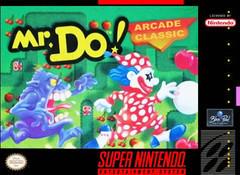 Mr. Do! - Super Nintendo | Total Play