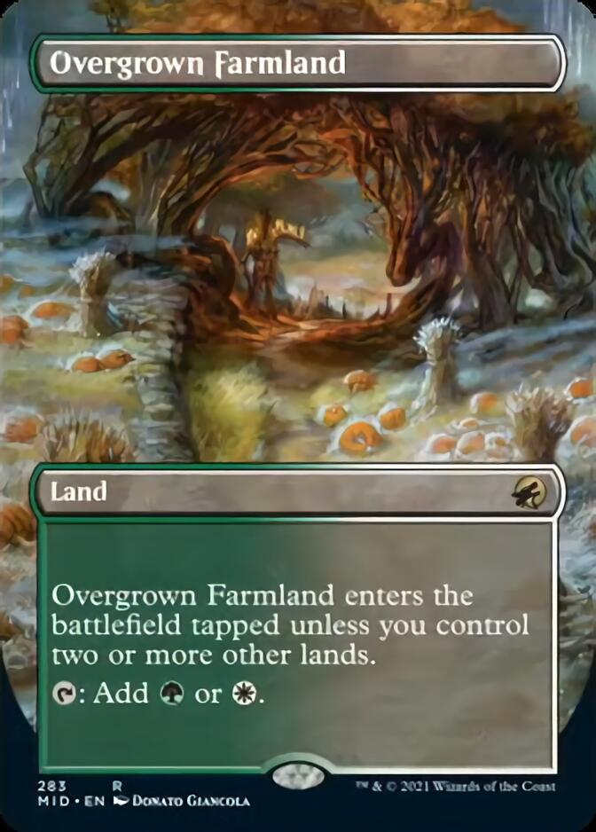 Overgrown Farmland (Borderless Alternate Art) [Innistrad: Midnight Hunt] | Total Play