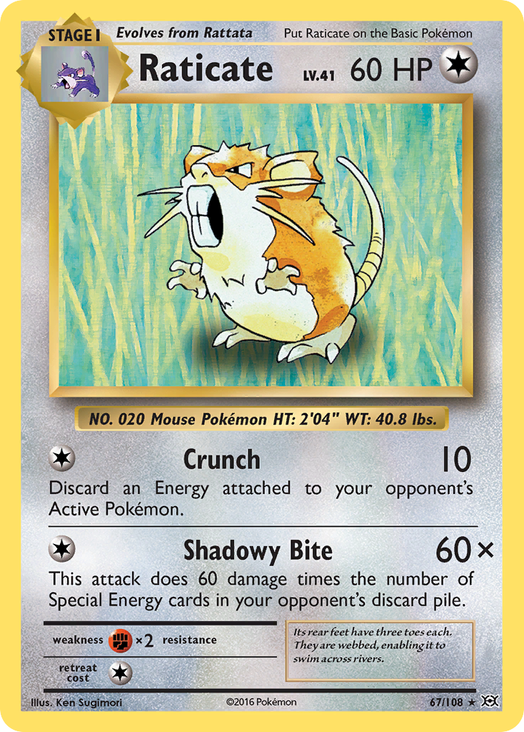 Raticate (67/108) [XY: Evolutions] | Total Play