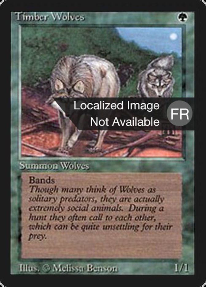 Timber Wolves [Foreign Black Border] | Total Play