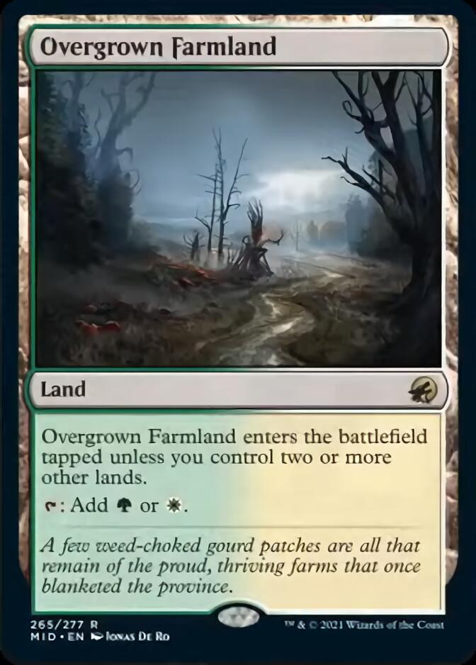 Overgrown Farmland [Innistrad: Midnight Hunt] | Total Play