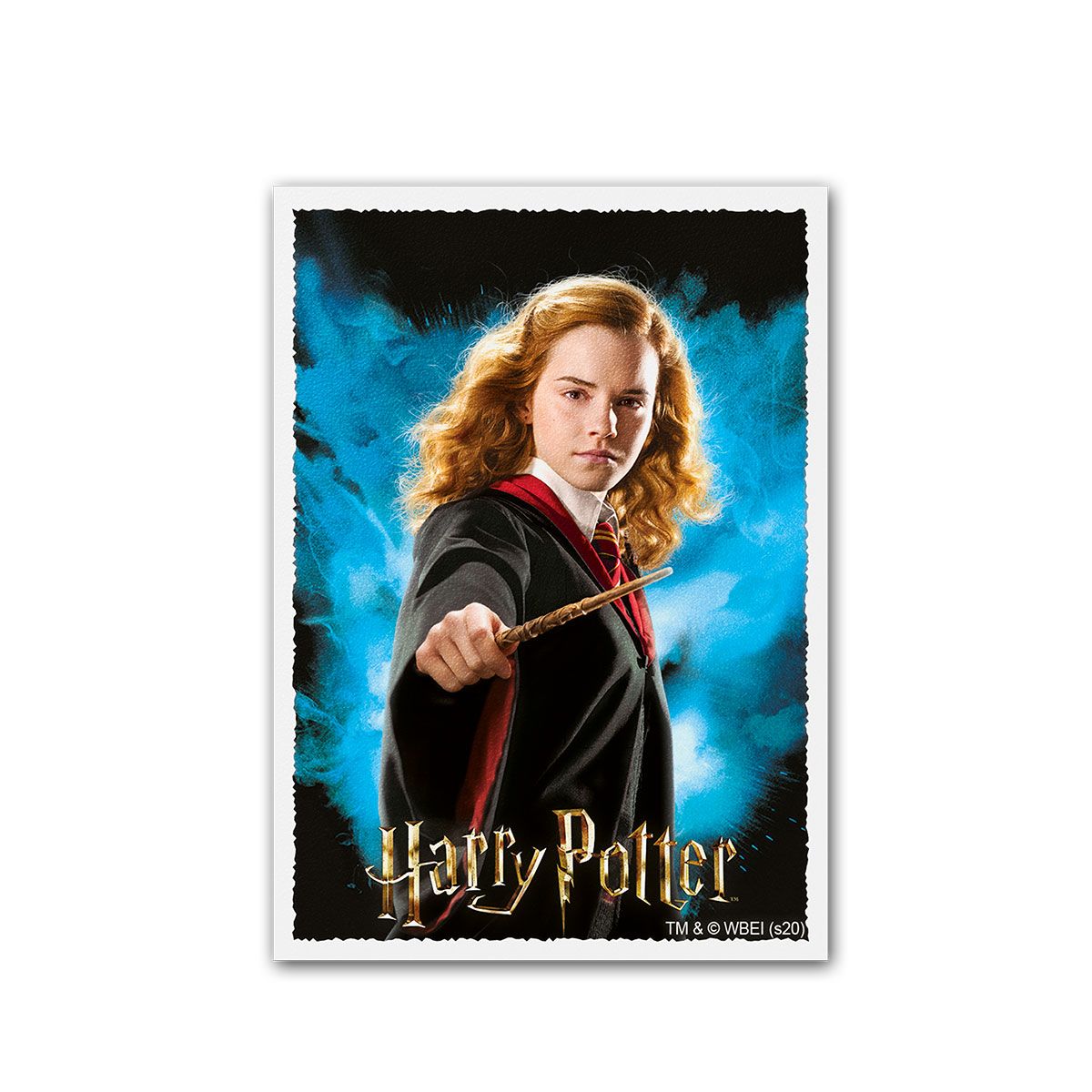 Dragon Shield: Standard 100ct Art Sleeves - Wizarding World (Hermione Granger) | Total Play