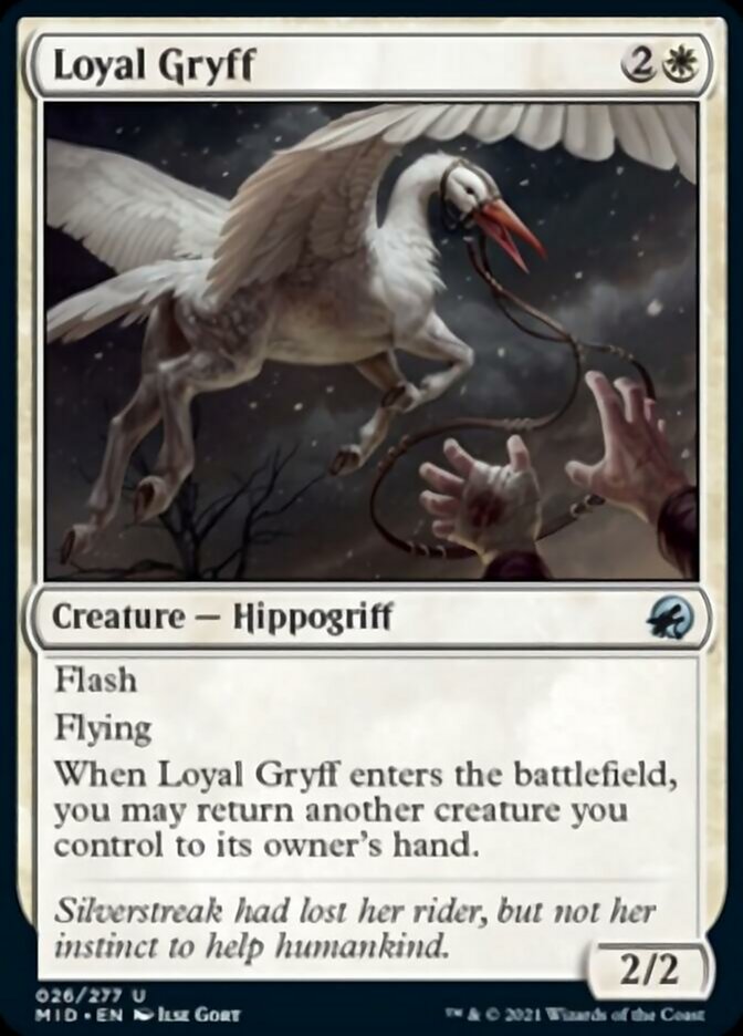 Loyal Gryff [Innistrad: Midnight Hunt] | Total Play