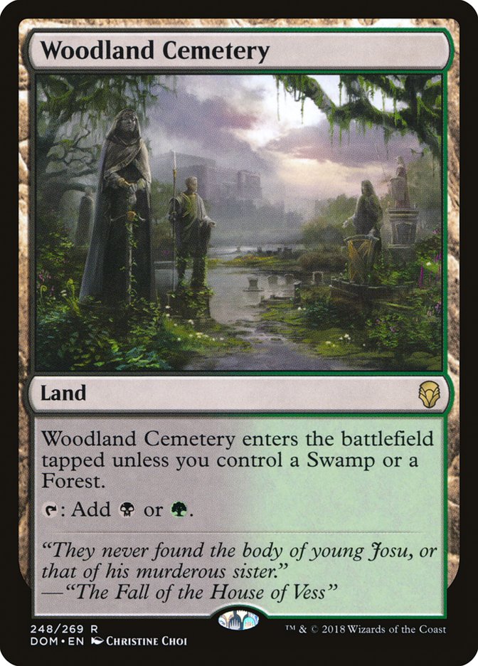Woodland Cemetery [Dominaria] | Total Play