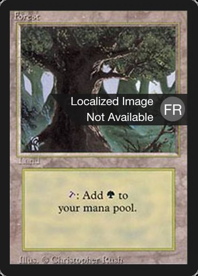 Forest (A) [Foreign Black Border] | Total Play